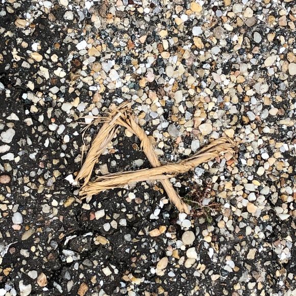 Meet your Posher, Jasmine - Picture 1 of 1